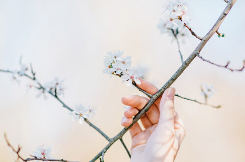 A Short Trip to Nebraska